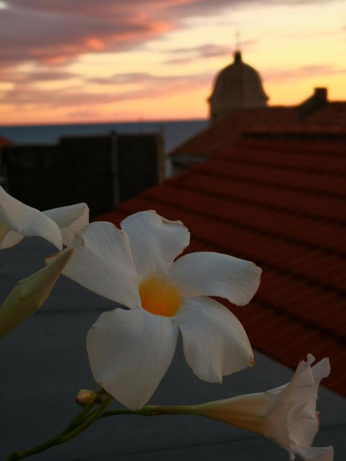 Hotel Bouquet Di Note Cervo Exteriér fotografie